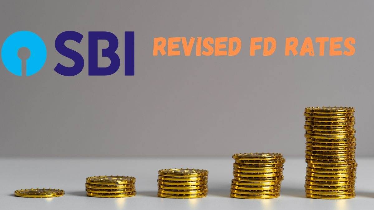 Excellent news! SBI decreased 25 foundation factors in borrowing charges, new charges shall be relevant from this date