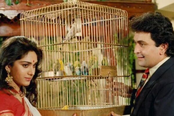 Sunny Deol and Meenakshi Seshadri’s ‘Damini’, hit dialogue