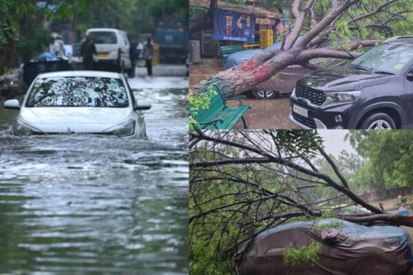 Weather Forecast: Delhi Weather Disrupted – Dust Storms, Rain, and Hail Expected in MP, UP, Bihar, and Rajasthan