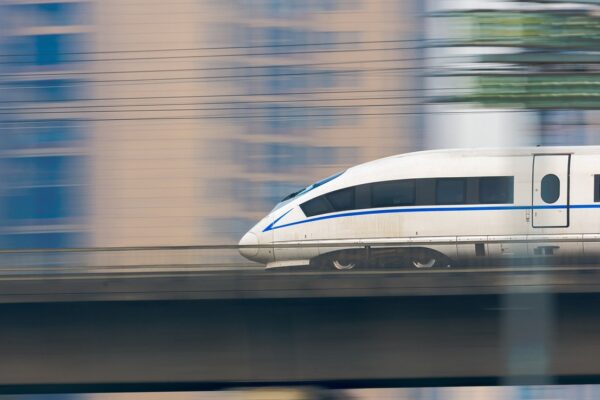 Japan’s Busiest Shinkansen Line Suspended After Snake Sighting on Power Pole