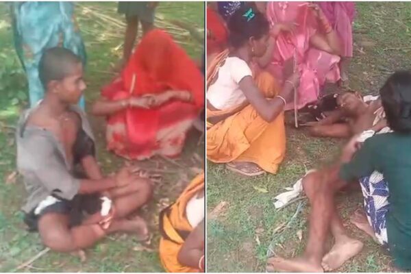Tiger assault once more in Bandhavgarh, two shepherds injured … if they don’t make noise, you’re taking life