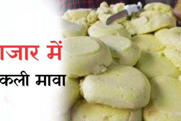 All inferior high quality got here out of cheese, mawa, sweets to chili powder, 13 lakhs fined in 13 retailers