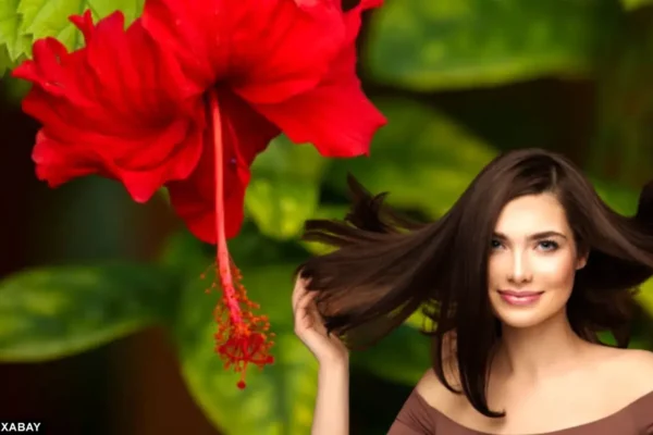 Hibiscus Water: How is jaggery water good to clean the face? Make this water at dwelling with out spending