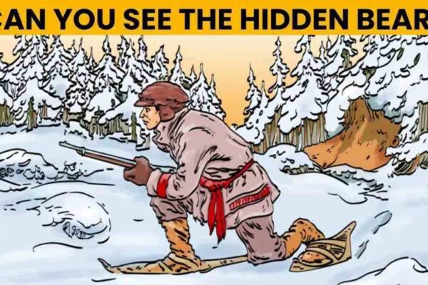 Solely excessive iq minds can spot the hidden bear in 5 seconds!